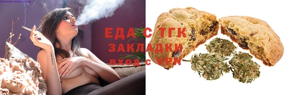 амф Гусев