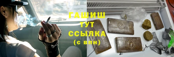амф Гусев