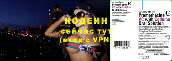 амф Гусев
