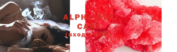 амф Гусев