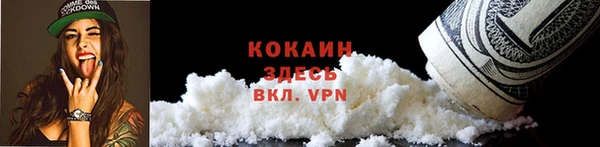 твердый Гусь-Хрустальный