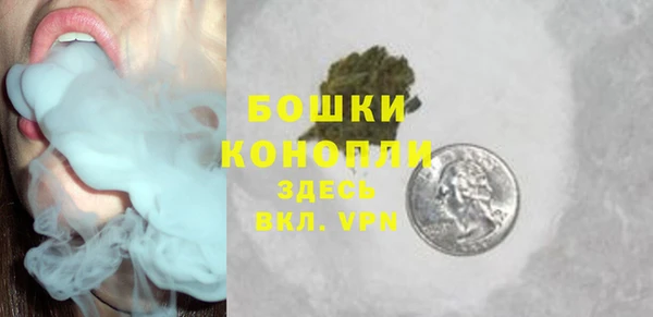 эйфоретик Гусиноозёрск