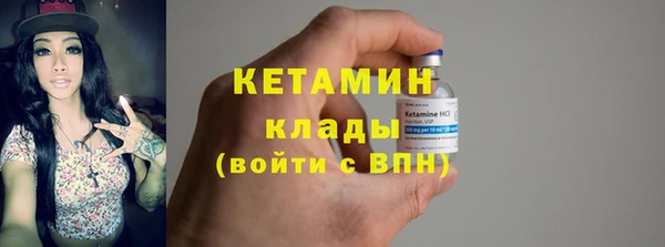 амф Гусев