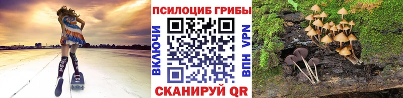 Псилоцибиновые грибы Magic Shrooms  Купить  Болохово 
