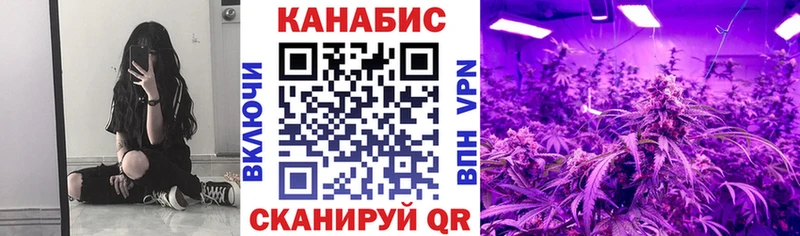 Купить где  Болохово  Шишки марихуана план 